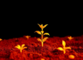 Infrared Light and Explainable AI Reveal How Much Carbon Soil Can Still Store