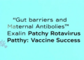 Gut Barriers and Maternal Antibodies Explain Patchy Rotavirus Vaccine Success