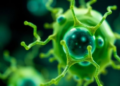 AI Meets Living Cells in $28.6 Million Bid to Predict Protein Misfolding Before Disease Strikes