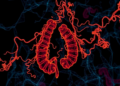 Chromatin maps reveal two hidden states driving colorectal cancer