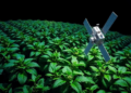 AI Helps Satellites Watch Plants Breathe, Revealing Hidden Irrigation from Space