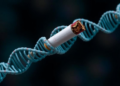 Gene Variants That Detoxify Tobacco Carcinogens Reshape Oral Cancer Risk