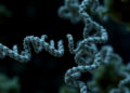 Hidden RNA switches in a deadly mold reveal new targets against fungal disease