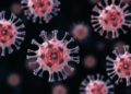 When immune cells switch sides: unstable T cells drive gum disease bone loss