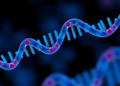 Single tRNA Molecule Found to Steer Prostate Cancer Between Drug Sensitivity and Resistance