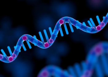 Single tRNA Molecule Found to Steer Prostate Cancer Between Drug Sensitivity and Resistance