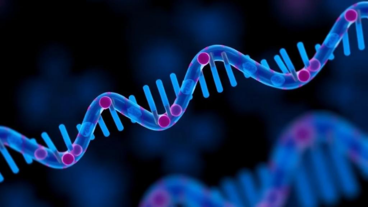 Single tRNA Molecule Found to Steer Prostate Cancer Between Drug Sensitivity and Resistance