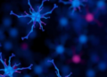 Scientists Discover Twelve New Autoantibody Signatures Linked to Parkinson's Disease