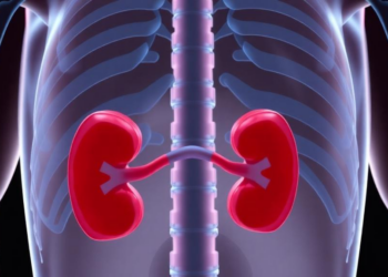 Cancer Survivors Show Widening Gap Between Two Common Kidney-Function Tests, Chinese Study Finds