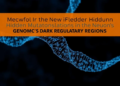 New Tool HiFIseek Hunts Hidden Cancer Mutations in the Genome's Dark Regulatory Regions