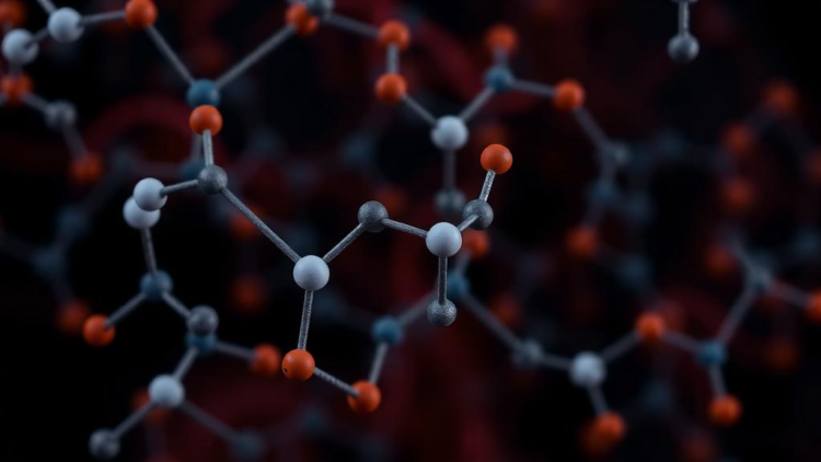 African Natural Products Library Yields Two Promising COX-2 Inhibitor Candidates