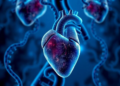 ZBED6 Loss Fuels Pathological Heart Enlargement Through a Newly Mapped Gene Switch
