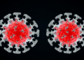 Two Faces of the Hepatitis B Capsid Protein Reveal Distinct Drug Binding Sites