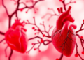 Hidden Heart Infections: Landmark Analysis Finds Endocarditis in a Quarter of Enterococcal Bloodstream Cases