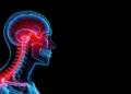 AI Reads Brain-Attack Risk Straight From Neck Artery Scans in Under a Second