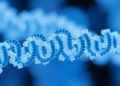 Ribosomal RNA Passes Its Test as a Steady Reference in High-Throughput Plasma qPCR