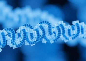 Ribosomal RNA Passes Its Test as a Steady Reference in High-Throughput Plasma qPCR