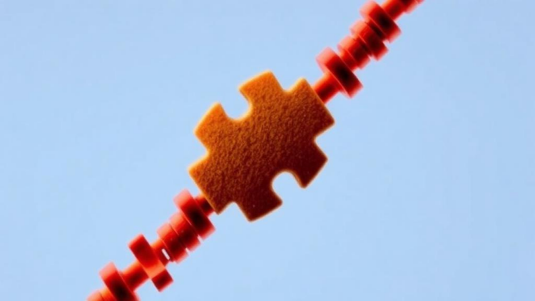 X Chromosome Gene Dials Offer New Clues to Autism's Male Bias