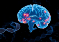 Landmark Genetic Analysis Places the Earliest Warning Signs of Alzheimer's on the Disease Map