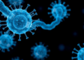 When Chromatin Wobbles, Cells Pay a Metabolic Price, Study Finds