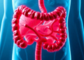 Gut Microbes Turn Amino Acid Into Toxin That Worsens Pancreatitis in the Elderly