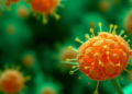 Ginger Compound Zerumbone Halts Growth of Aggressive Uterine Cancer Cells in Lab Study