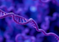 Fat-Processing Gene Variants Tied to Lymphoma Risk and Survival