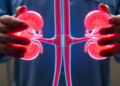 Surgeons Turn Children's Kidney Tumors Into 3D Virtual Models Before Operating