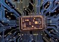 Gut-on-a-Chip Technology Moves Food Science Toward Personalized Nutrition