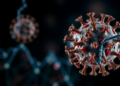 Computational Models Warn Ebola Antibody Drugs May Lose Power Against Bundibugyo Virus