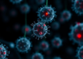 Patient Tumors Grown From Stem Cells Become Living Test Beds for Duchenne Gene Editing
