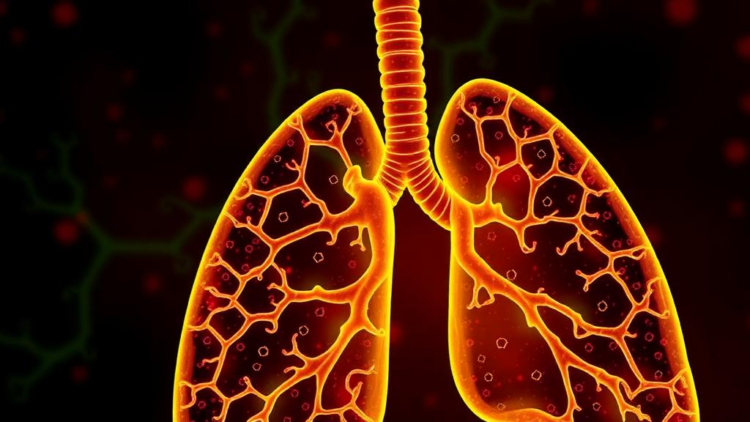 Endothelial Angptl2 Emerges as Central Driver of Influenza-Linked Lung Fibrosis
