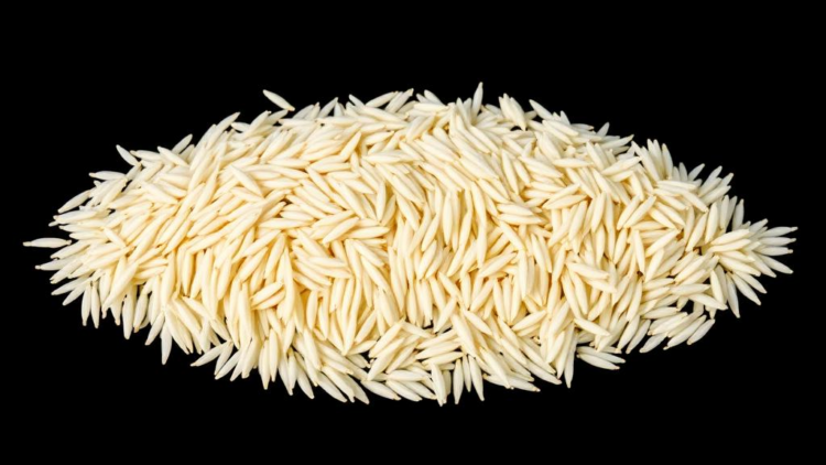 Deep Learning Learns to Tell Rice Varieties Apart, One Grain at a Time