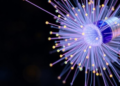 Spray-Coated Self-Stratifying Fibers Supercharge Triboelectric Nanogenerators