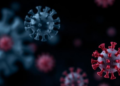 Blood Proteins FGF2 and PRDX3 Fail to Improve Long COVID Prediction Across Cohorts
