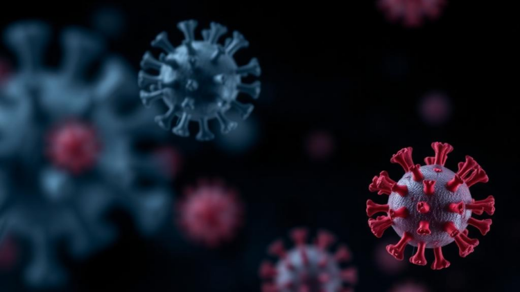 Blood Proteins FGF2 and PRDX3 Fail to Improve Long COVID Prediction Across Cohorts