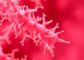 Drug-Resistant Klebsiella Outbreak in Cancer Patients Exposes Hidden Hospital Risks