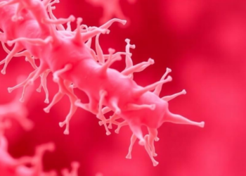 Drug-Resistant Klebsiella Outbreak in Cancer Patients Exposes Hidden Hospital Risks