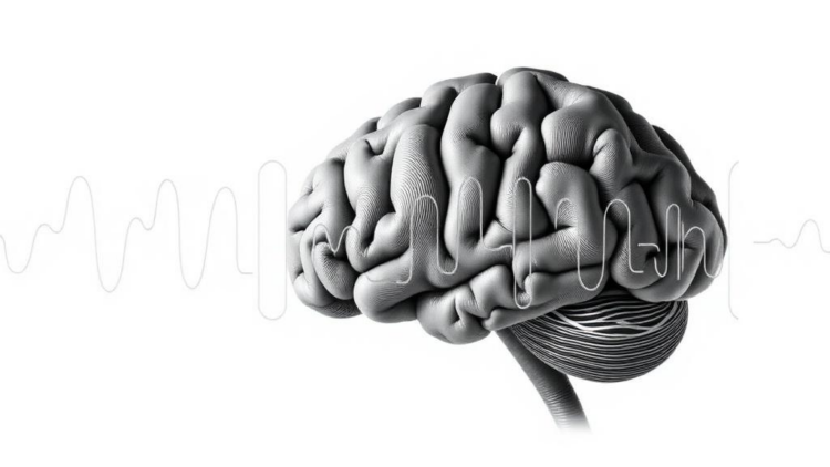 Millisecond Timing in Sound: How Brains from Rats to Humans Decode Rapid Click Patterns
