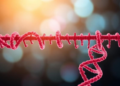 Chemical Tag on RNA Helps Melanoma Dodge Ferroptosis, Study Finds
