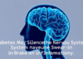 Diabetes May Silence the Nervous System's Built-In Brake on Inflammation