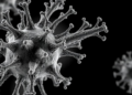 Cryo-EM Exposes Hidden Architecture of a Bacterial Antiviral Weapon Found in Pathogens