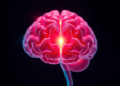 Silent Brain Attack: Common Autoimmune Dementia Mimic Caught in Largest Study Yet