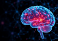 Hidden Brain Cells Called Oligodendrocytes Emerge as Unexpected Drivers of Parkinson's Disease