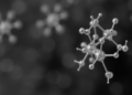 Amino Acid Schiff Base Metal Complexes Show Potent Power Against Deadly Biofilms