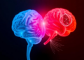 Aging Brains Respond Differently in Males and Females, Mouse Study Reveals