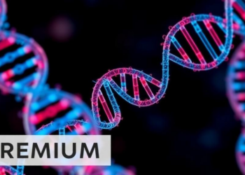 Graph-Attentive AI Generates Rare Cells to Sharpen Single-Cell RNA Analysis