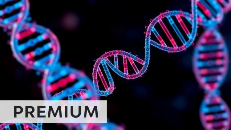 Graph-Attentive AI Generates Rare Cells to Sharpen Single-Cell RNA Analysis