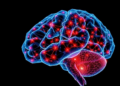 Ontology-Guided Neuro-Symbolic GraphRAG Delivers Grounded, Auditable Answers