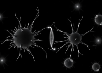Rice Study Shows CDC20 Governs the Metaphase-to-Anaphase Switch in Both Mitosis and Meiosis